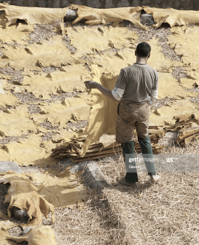 Morocco fashion consulting agency