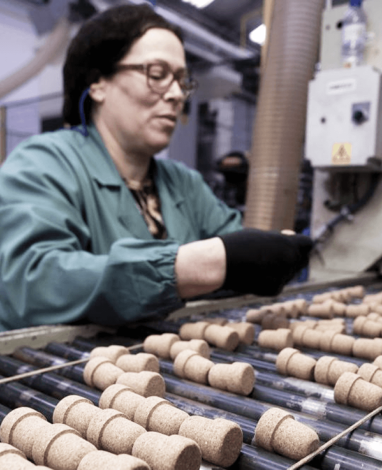 Spain wholesale fashion consultant